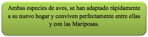 mariposario